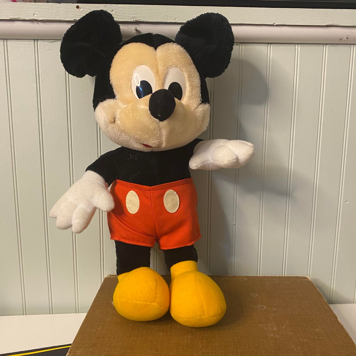 Mickey the Mouse